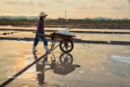 Conservando el sabor salado entre el sol y el viento del Centro de Vietnam