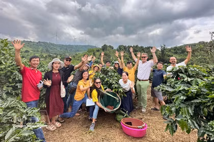  Un siglo de café de Khe Sanh: la tierra roja que da vida al prestigioso arábica vietnamita