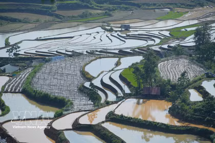 La belleza de los arrozales en terrazas en la provincia vietnamita de Lai Chau