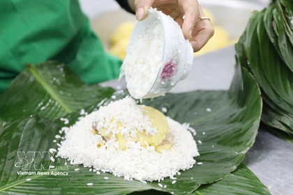 Experimente envoltura de Banh chung para celebrar el Tet