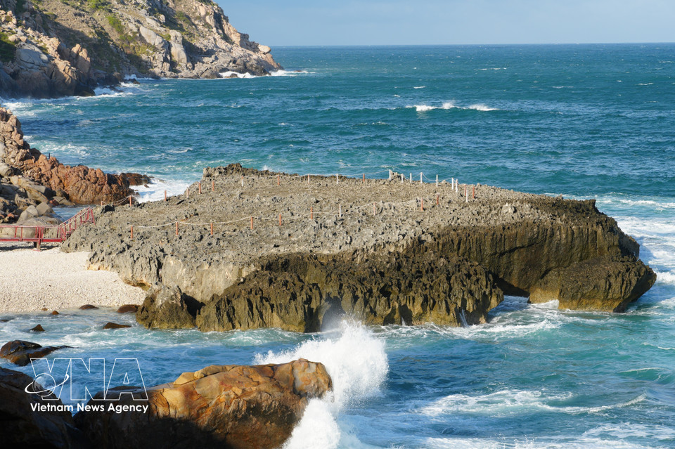 La antigua plataforma de arrecifes de coral en la playa Hang Rai – Parque Nacional Nui Chua (comuna de Vinh Hai, provincia de Khanh Hoa) es considerada por los científicos como una estructura de alto valor geológico e histórico natural. (Fuente: VNA)