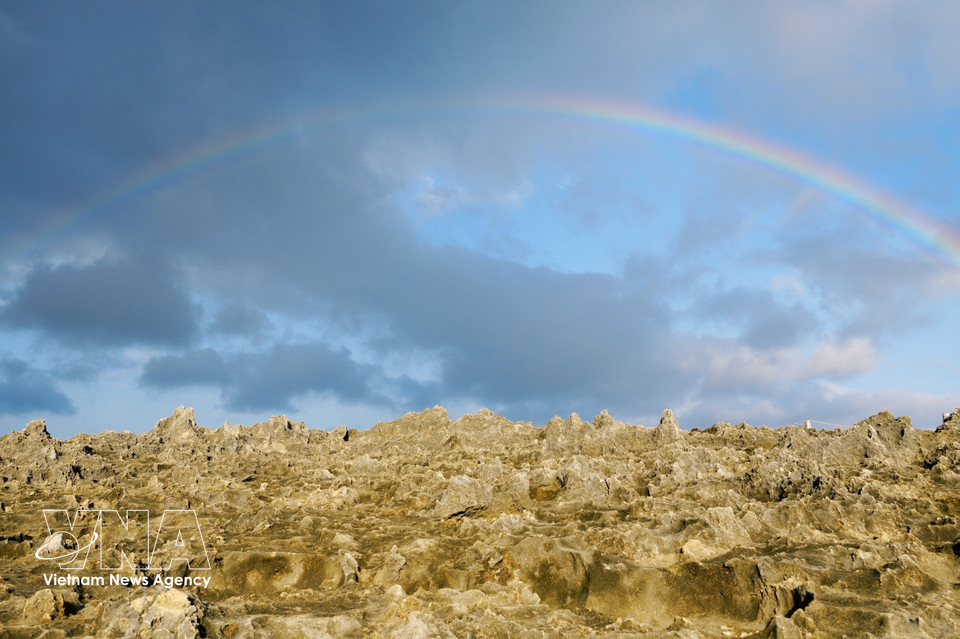 Las antiguas formaciones de coral fosilizadas crean un paisaje fascinante en la playa Hang Rai, en el Parque Nacional de Nui Chua (comuna de Vinh Hai, provincia de Khanh Hoa). (Fuente: VNA)