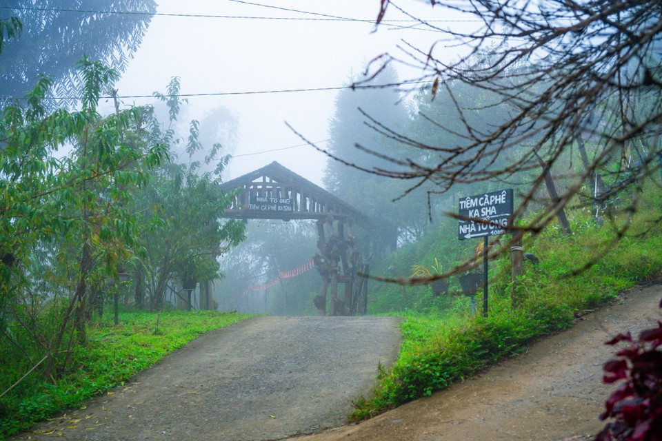 Al llegar al lugar, los visitantes disfrutarán de muchas experiencias, como la de cazar nubes desde la cima de la montaña y explorar la vida y la cultura del pueblo étnico Mong. (Fuente: VNA)