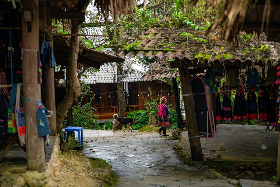 Este pueblo también es conocido como "paraíso en las nubes" por el majestuoso paisaje de la cascada del Amor, la cascada del Corazón y los campos dorados en terrazas. (Fuente: VNA)