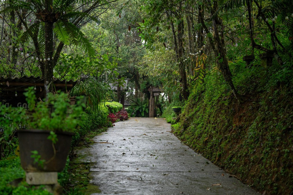 Sin Suoi Ho también fue galardonado como uno de los 5 mejores destinos de turismo comunitario en los Premios de Turismo de Vietnam 2025. (Fuente: VNA)