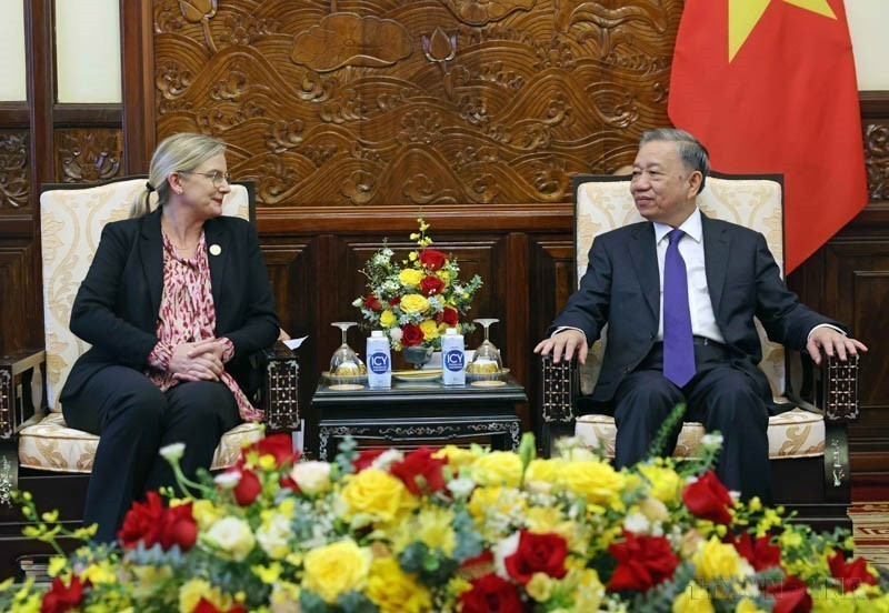 El presidente vietnamita, To Lam, recibió a la embajadora extraordinaria y plenipotenciaria de Suecia, Ann Mawe, quien terminó su mandato de trabajo en el país, (Hanoi, 18 de junio de 2024). (Fuente: VNA)