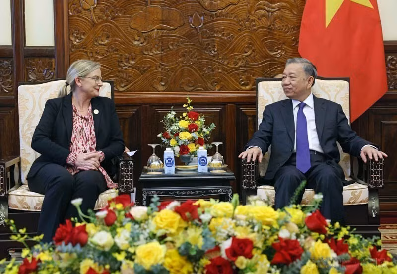 El presidente vietnamita, To Lam, recibió a la embajadora extraordinaria y plenipotenciaria de Suecia, Ann Mawe, quien terminó su mandato de trabajo en el país, (Hanoi, 18 de junio de 2024). (Fuente: VNA)