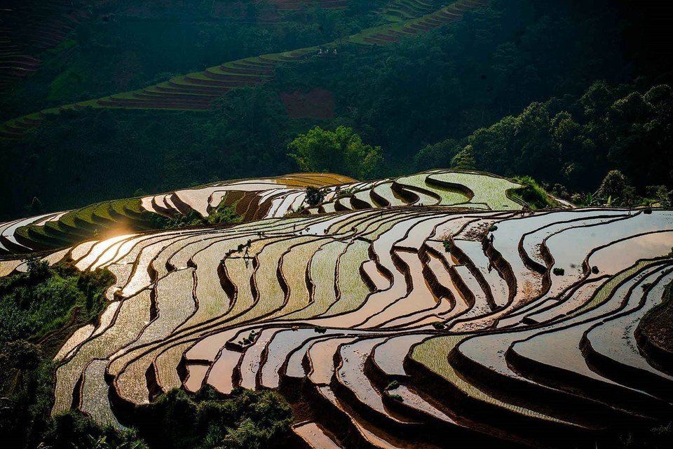 Campos en terrazas durante la temporada de riego en la comuna de Lao Chai, provincia de Lao Cai. (Fuente: VNA)