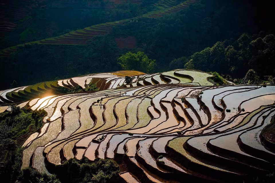 Campos en terrazas durante la temporada de riego en la comuna de Lao Chai, provincia de Lao Cai. (Fuente: VNA)