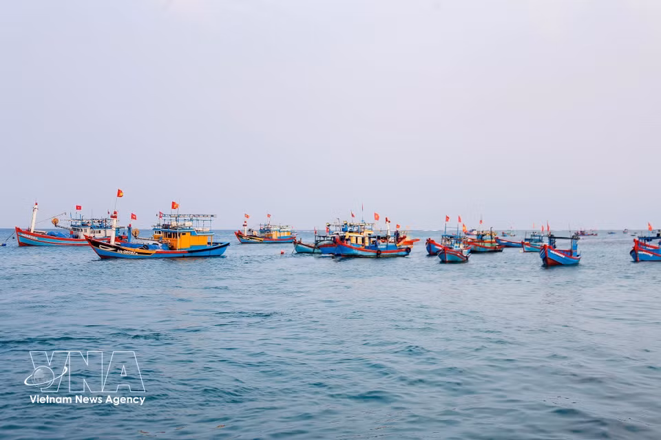 Barcos atracan en el puerto pesquero de Ly Son (An Vinh, Ly Son, Quang Ngai) antes del amanecer para vender mariscos, repostar combustibles y preparar alimentos para una nueva jornada de pesca. (Fuente: VNA)