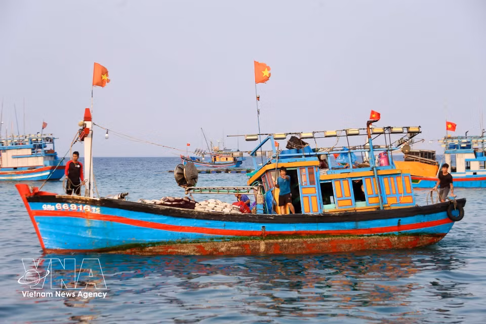 Para los pescadores, un barco repleto de productos acuáticos es la dulce recompensa tras una noche en el mar. (Fuente: VNA)