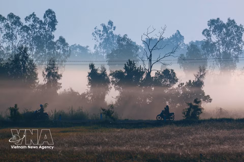 La tierra de Can Tho evoca gratos recuerdos con sus tranquilas carreteras rurales al amanecer. (Fuente: VNA)