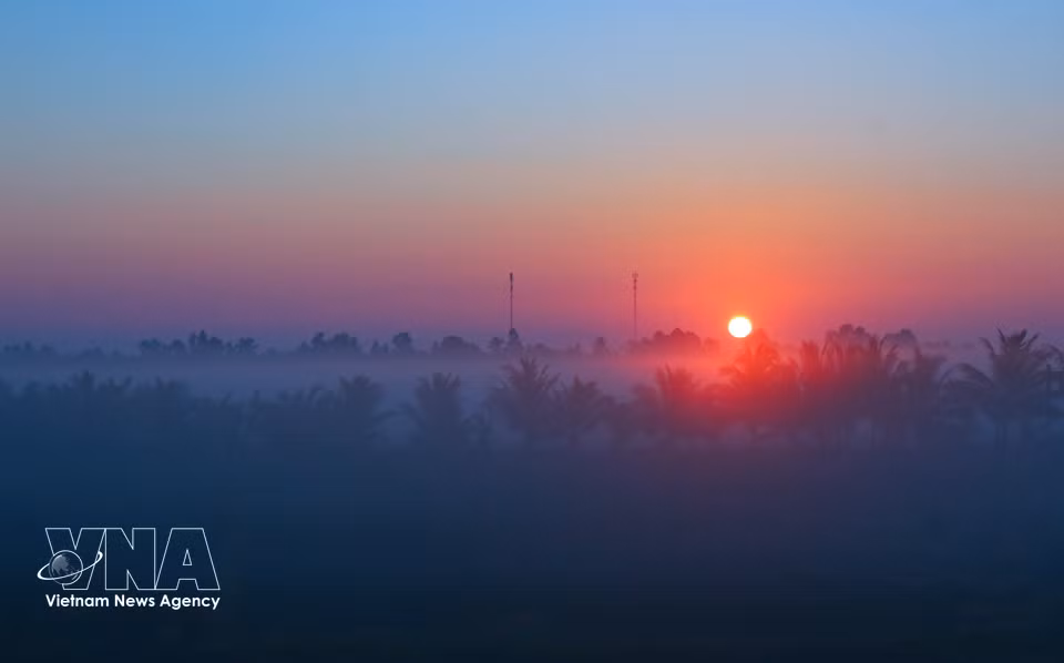 Los campos bañados por la luz de la mañana crean una escena mágica y apacible a la vez. (Fuente: VNA)