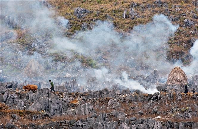La meseta kárstica de Dong Van se ubica en la provincia norteña de Tuyen Quang. (Fuente: VNA)