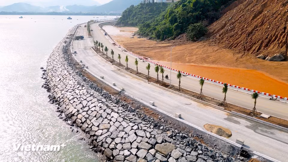 La vía de conexión portuaria incluye 2 tramos, el primero tiene una longitud de 1,2 km, 6 carriles y 30 m de ancho; y el segundo cuenta con una longitud de 0,6 km, 2 carriles y 8 m de ancho. (Foto: VNA)