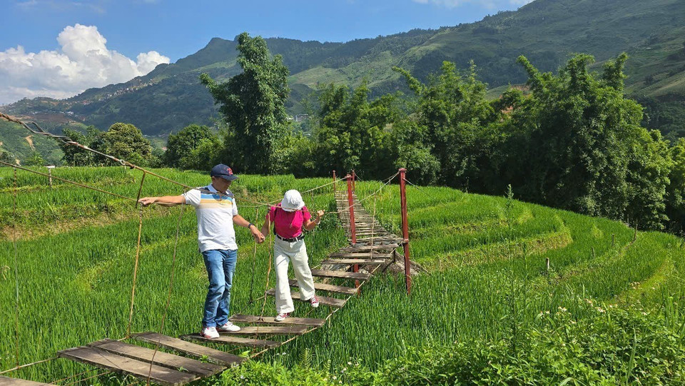 La temporada de arroz verde en Ta Van atrae a muchos turistas que quieren experimentar esta época del año. (Fuente: VNA)
