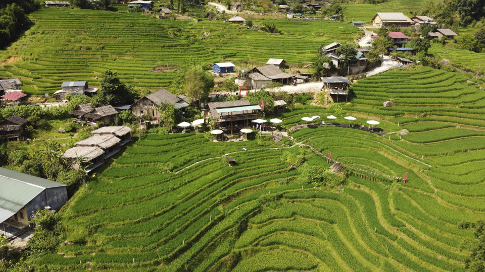 Pueblo tranquilo en la temporada de arroz verde en Ta Van. (Fuente: VNA)