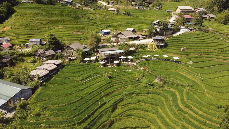 Pueblo tranquilo en la temporada de arroz verde en Ta Van. (Fuente: VNA)