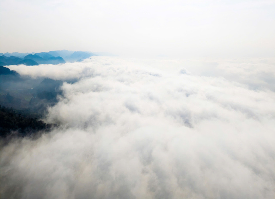 Mar de nubes en la cima de la montaña Pa Phach en la meseta de Moc Chau, provincia de Son La. (Fuente: VNA)