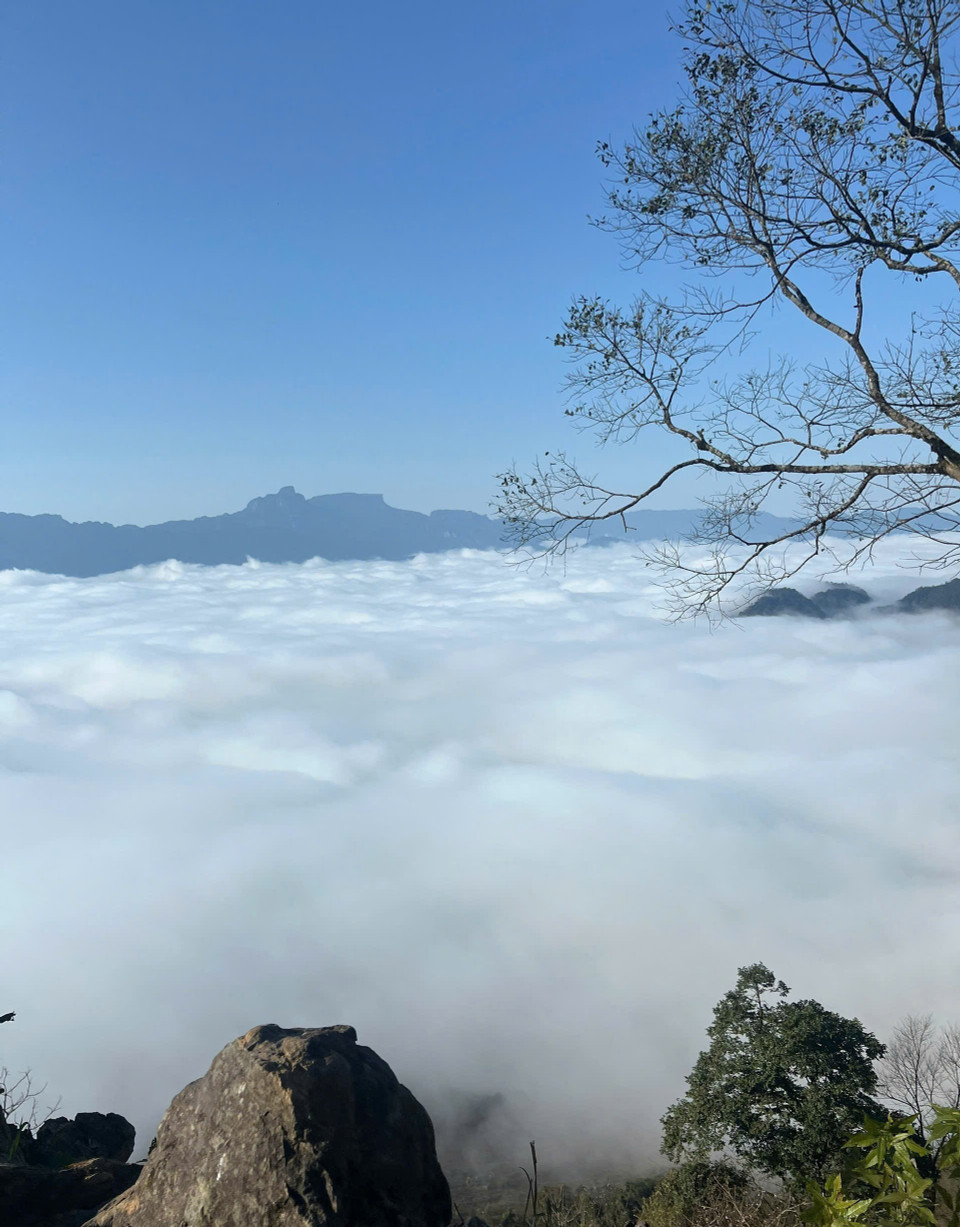 Mar de nubes en la cima de la montaña Pa Phach en la meseta de Moc Chau, provincia de Son La. (Fuente: VNA)