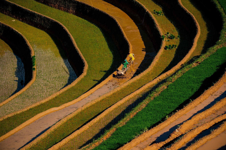 La belleza de los campos en terrazas durante la temporada de riego en la comuna de Lao Chai, provincia de Lao Cai. (Fuente: VNA)
