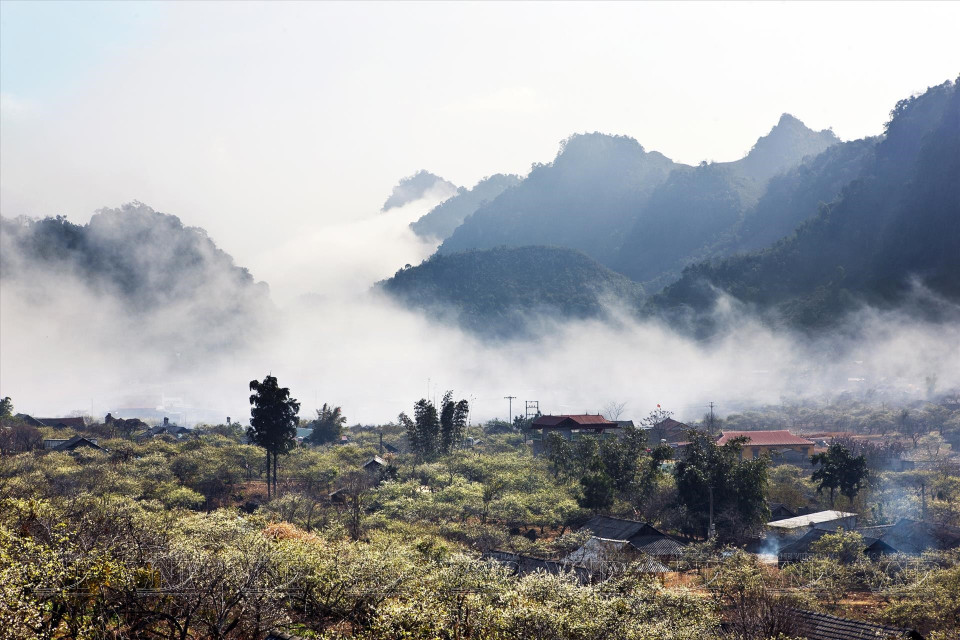 Al llegar a los valles de Moc Chau, los visitantes encontrarán nubes que se abren paso a través de las cadenas montañosas para llegar a las aldeas. (Fuente: VNA)