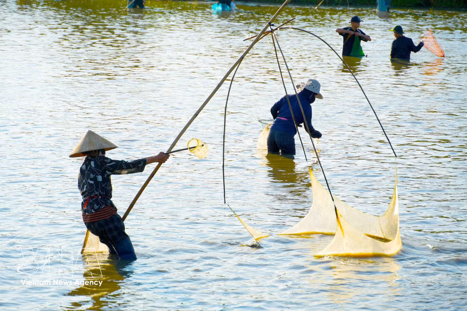 Los pobladores preparan sus herramientas para la jornada de pesca. (Fuente: VNA)