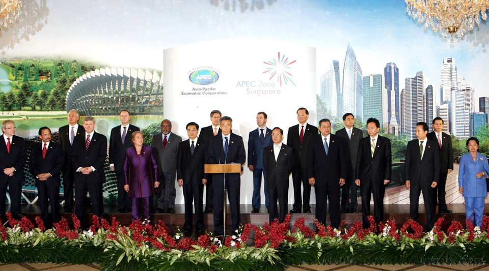 El presidente vietnamita, Nguyen Minh Triet, asistió a la ceremonia de adopción de la declaración conjunta de la XVII Cumbre de APEC, celebrada en Singapur (2009). (Fuente: VNA)