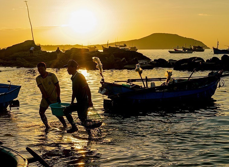 Todos los días al amanecer se traen peces a la orilla. (Fuente: VNA)