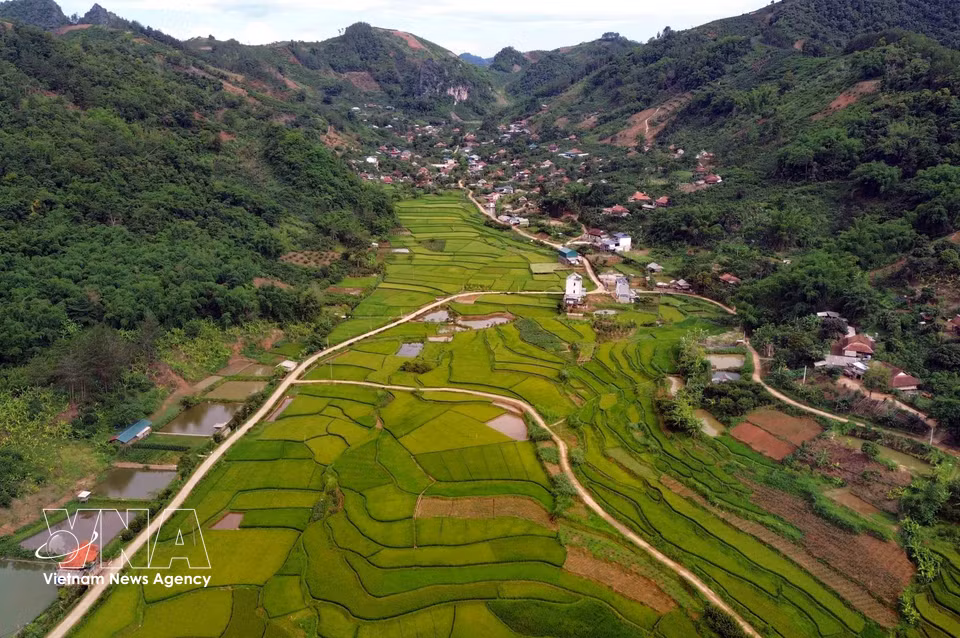 Paisaje de arrozales en terrazas en la aldea de Hun, barrio de Chieng Coi, provincia de Son La. (Fuente: VNA)