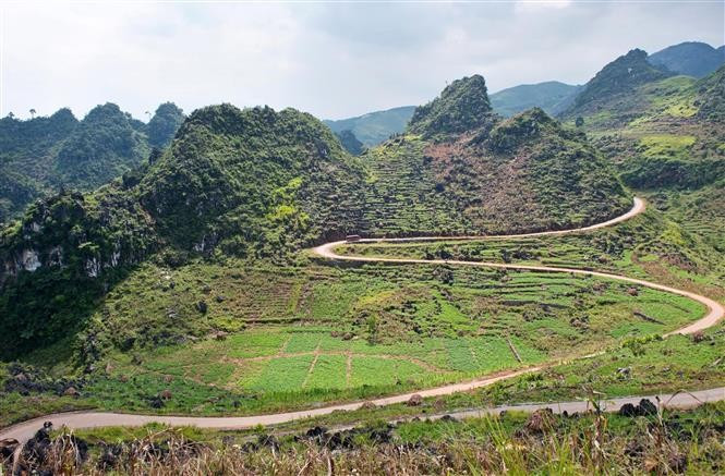 La meseta kárstica de Dong Van se ubica en la provincia norteña de Tuyen Quang. (Fuente: VNA)