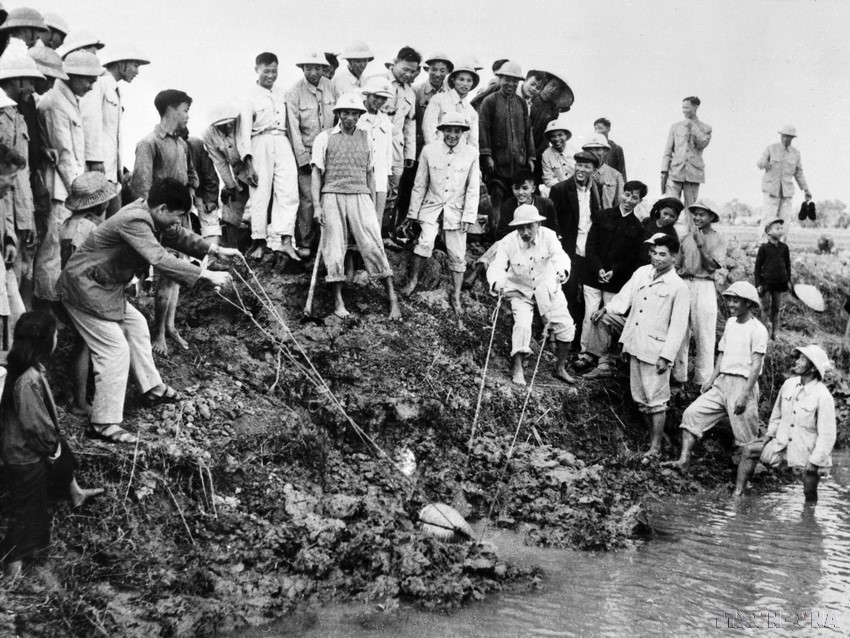 El Presidente Ho Chi Minh achicó agua para combatir la sequía con los agricultores de la comuna de Dai Thanh, provincia de Ha Dong (actualmente Hanoi), el 12 de enero de 1958. (Fuente: VNA)