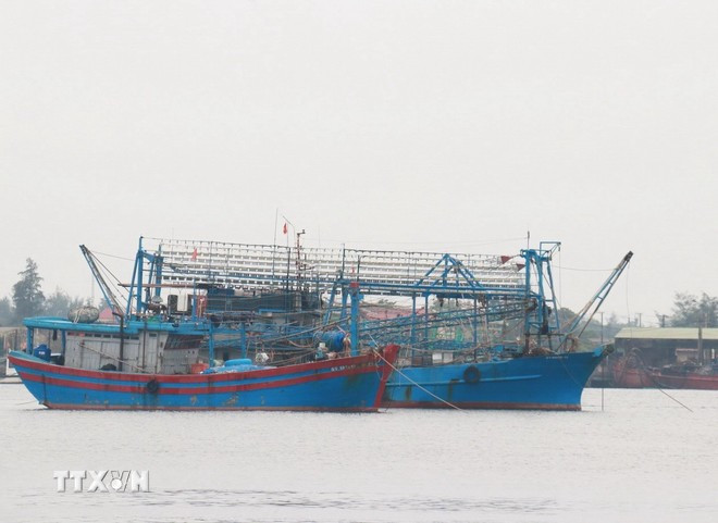 Los barcos pesqueros se refugian de un puerto (Foto ilustrativa: VNA) bao-so-1-tranh-bao.jpg