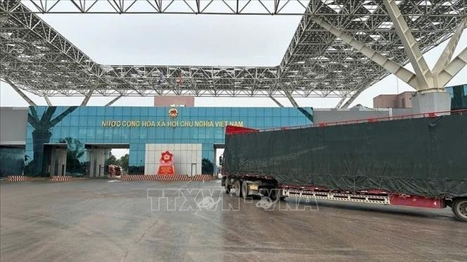 Este es el primer lote de cocos exportado por el paso fronterizo de Bac Luan II en 2025 (Foto: VNA) dua1-5825.jpg
