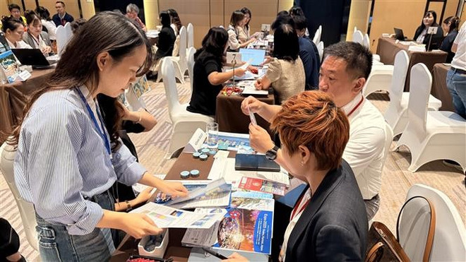 Empresas turoperadoras de Vietnam y Japón intercambian información (Foto: VNA) vna-potal-tang-cuong-ket-noi-truc-tiep-thuc-day-du-lich-song-phuong-viet-nam-nhat-ban-8127145.jpg