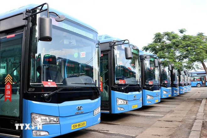 Las rutas de autobuses eléctricos entrarán en funcionamiento a partir del 1 de agosto de 2025 (Foto: VNA) xe-buyt-dien.jpg