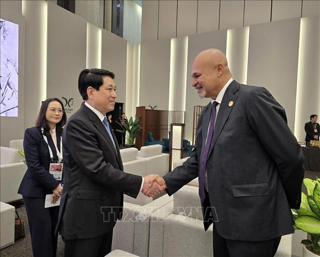 El presidente de Vietnam, Luong Cuong, recibe al viceprimer ministro y jefe de la delegación de Papúa Nueva Guinea, John Rosso (Foto: VNA) uuid261ce6ec-3317-4a7e-8e65-d9851f1933a9code001library1type1mode1loctruecaptrue.jpg