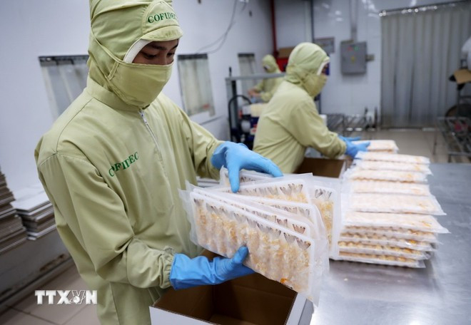 Envasado de productos procesados de camarón para exportación (Foto: VNA) xuat-khau-thuy-san.jpg