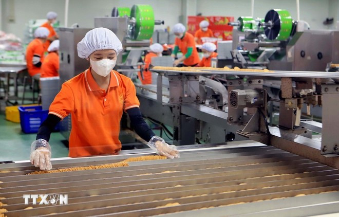 Los obreros trabajan en una fábrica (Foto: VNA) kinh-te-tu-nhan.jpg