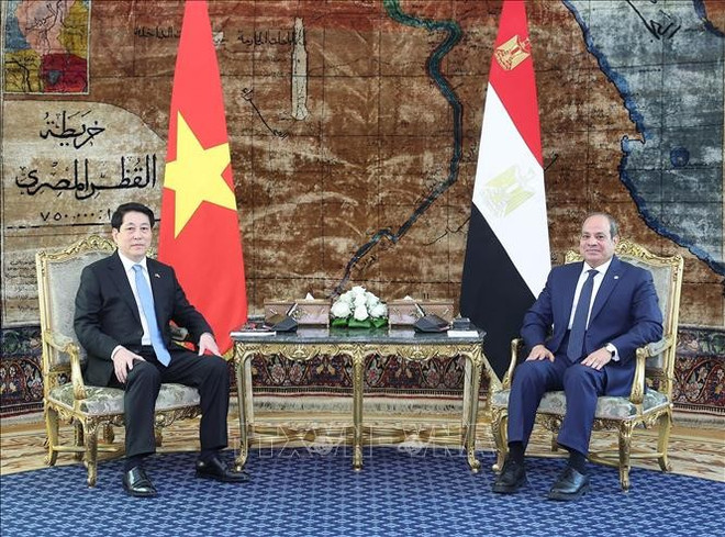 El presidente de Vietnam, Luong Cuong (izquierda), se reúne con su homólogo egipcio, Abdel Fattah El-Sisi (Foto: VNA) tham-ai-cap.jpg
