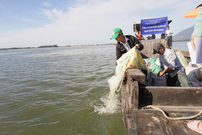 Liberación de varios tipos de alevines de peces para complementar los recursos acuáticos del lago Dau Tieng, en la provincia de Tay Ninh (Foto: VNA) vna-potal-tha-gan-238000-con-ca-giong-bo-sung-nguon-thuy-san-cho-ho-dau-tieng-tay-ninh-7693731.jpg