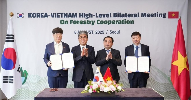 El ministro interino de Agricultura y Medio Ambiente de Vietnam, Tran Duc Thang afirmó que la cooperación forestal con Corea del Sur está entrando en una nueva etapa, expandiéndose a la restauración forestal, el comercio de madera y los créditos de carbono. (Foto: VietnamPlus) le-chung-kien.jpg