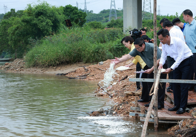 El primer ministro Pham Minh Chinh visita la terminal de ferry de Long Dai en la comuna de Truong Ninh. (Foto: VNA) vna-potal-thu-tuong-dang-huong-tuong-niem-anh-hung-liet-si-tai-quang-tri-8174395.jpg