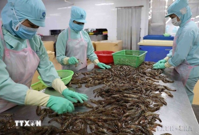En el primer semestre de 2025, el comercio bilateral sumó 266,9 millones de dólares, para un incremento interanual del 8%. (Foto: VNA) hop-tac-viet-nam-ai-cap-phat-4.jpg