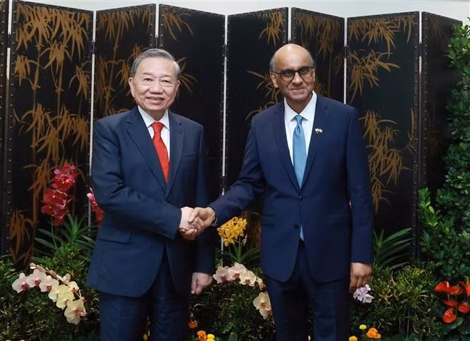vna-potal-tong-bi-thu-to-lam-hoi-kien-tong-thong-singapore-7909160.jpg