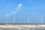 La provincia de Vinh Long ha puesto en funcionamiento 13 parques eólicos con una capacidad total de 572 MW. Foto: VNA