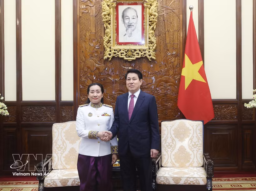 El presidente de Vietnam, Luong Cuong, recibe a la embajadora de Camboya, Touch Pharat. (Foto: VNA) 