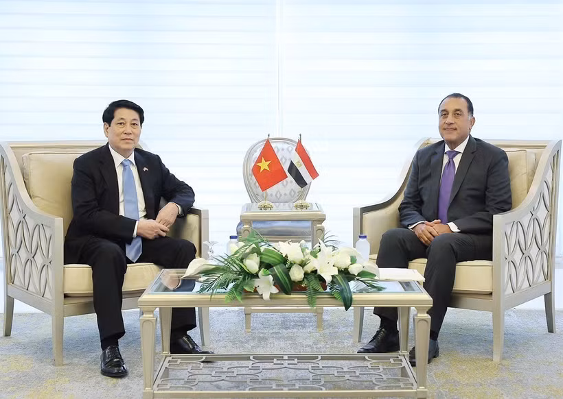 El presidente de Vietnam, Luong Cuong, (izquierda) se reúne con el primer ministro de Egipto, Mostafa Madbouly. (Foto: VNA)
