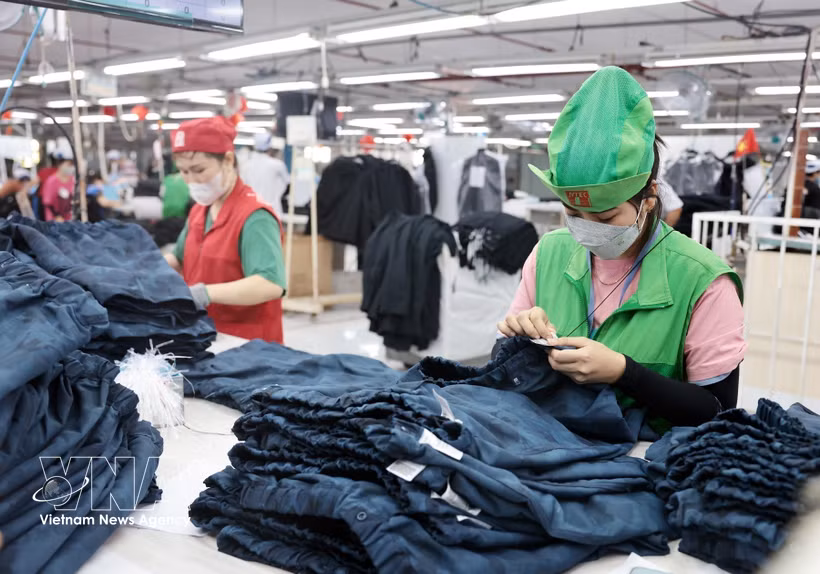 El sector de la confección para exportación, uno de los principales impulsores del crecimiento económico de Vietnam. (Foto: VNA)