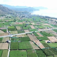 El proyecto de la planta de energía nuclear Ninh Thuan 2 se construirá en la aldea de Thai An, comuna de Vinh Hai, distrito de Ninh Hai. (Foto: VNA)